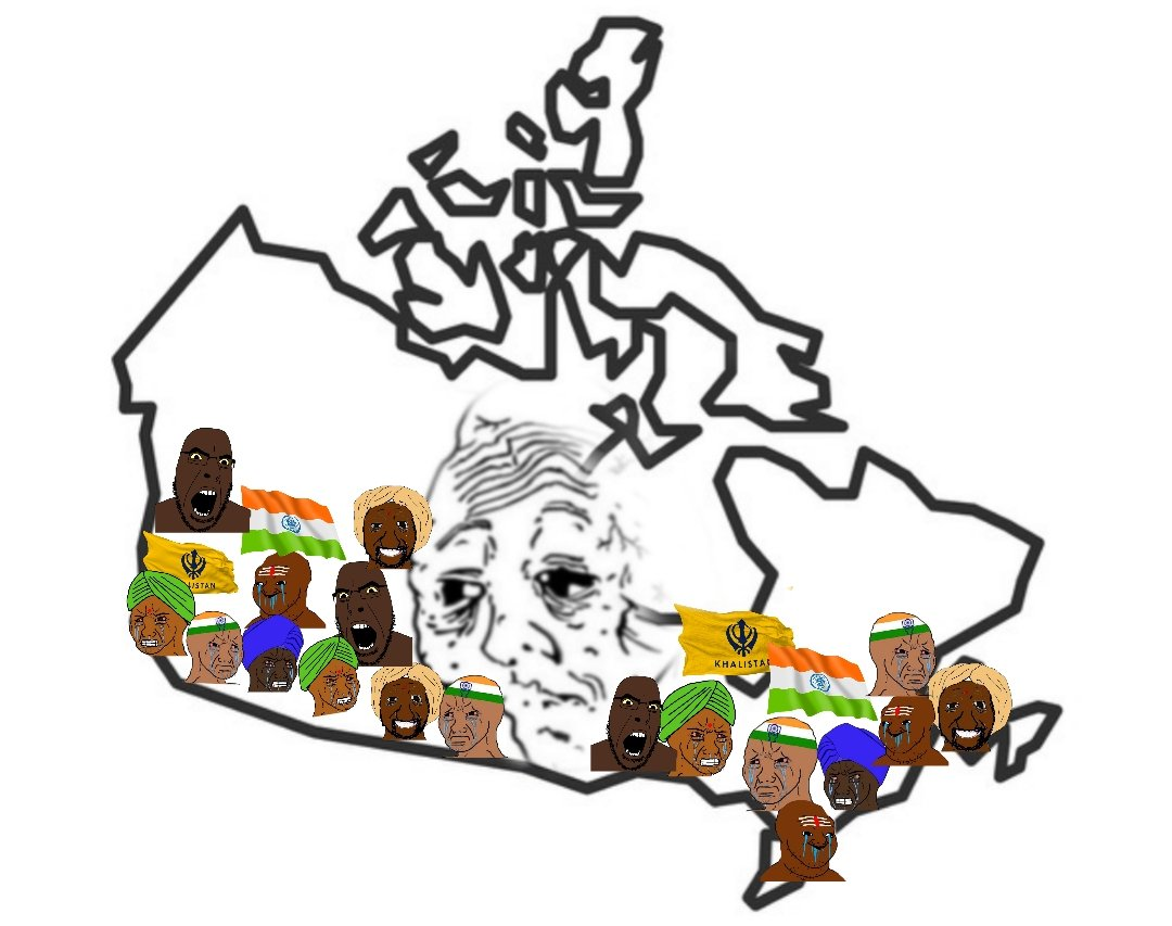 1720044435875.png