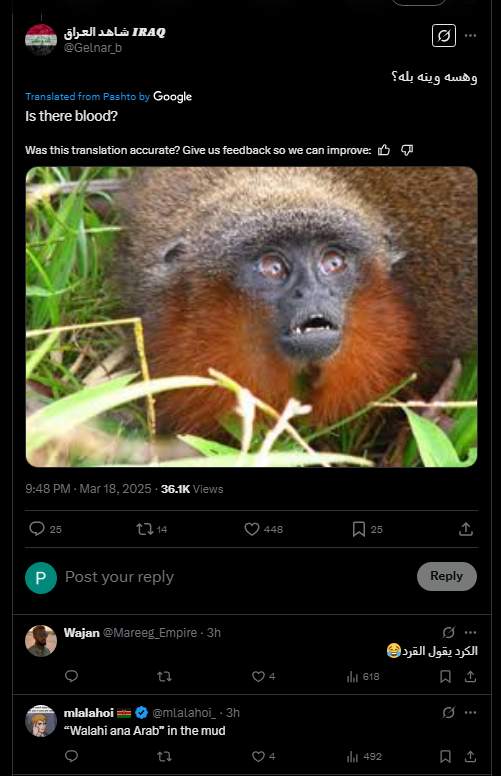 1742419378002.png