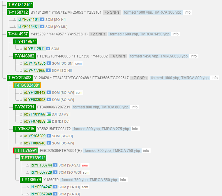 1743269314964.png