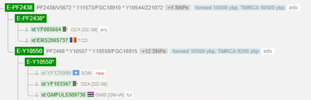 1743897879956.png