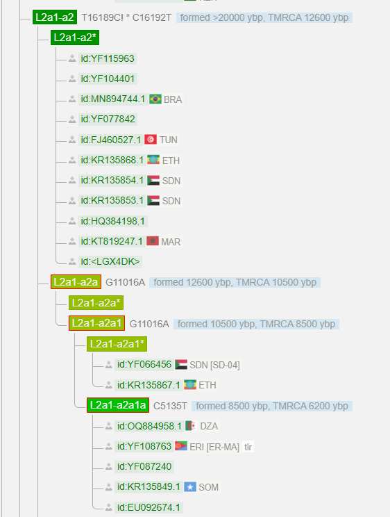 1743897933975.png