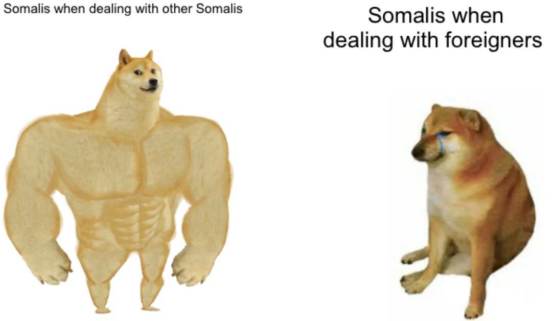 1747108578611.jpeg