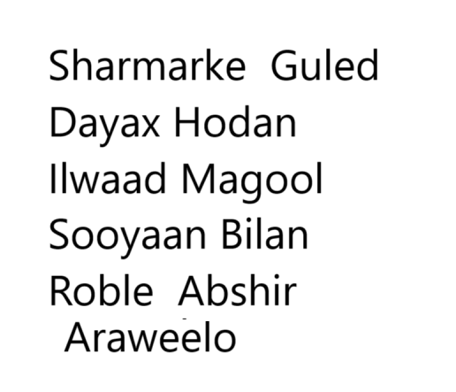 1747345565335.png