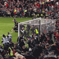 1748539963901.gif