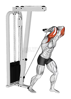 1750011011185.png