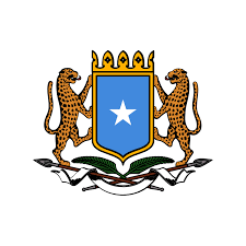 1750026188687.png