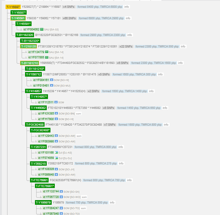 1750509054949.png