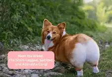 1750763690992.png