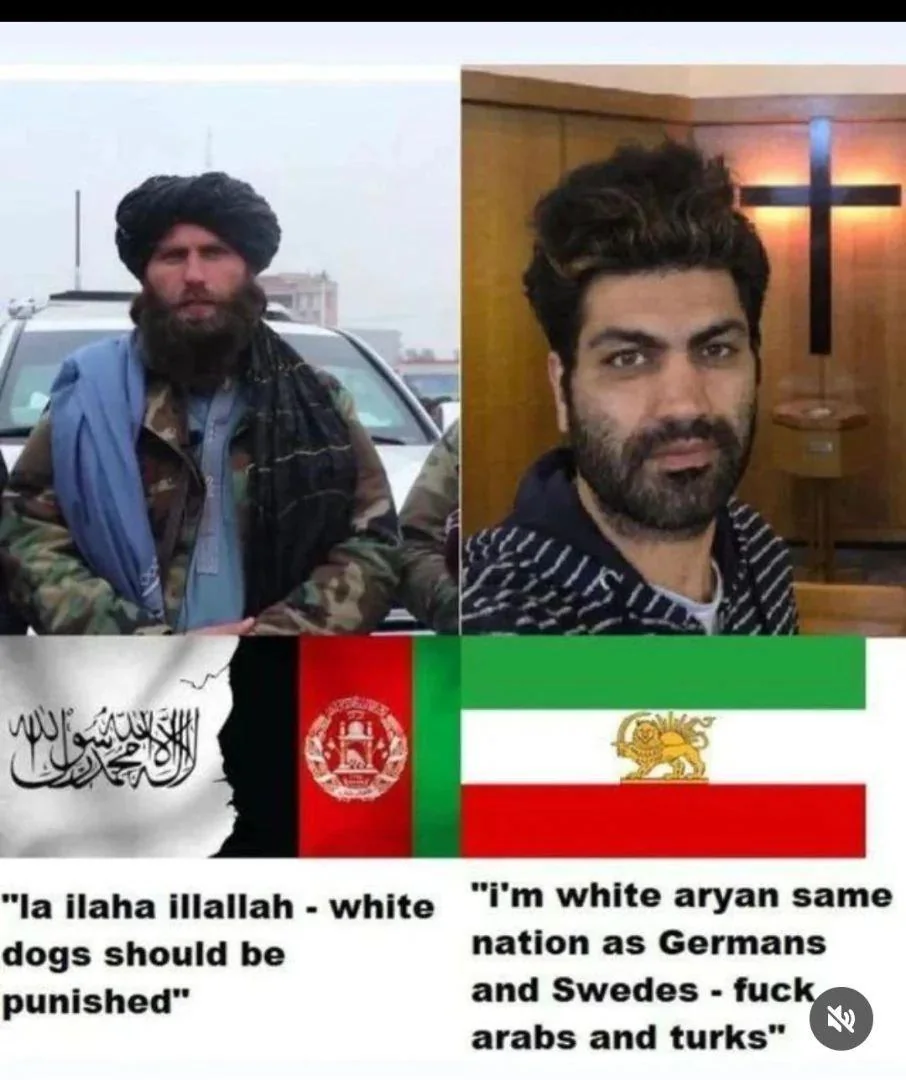 1753064088118.png