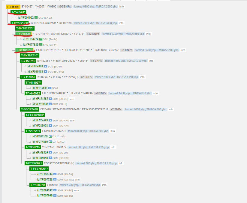 1753103495632.png