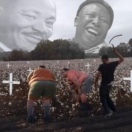 1753939125578.jpeg