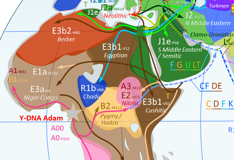 1755020531165.png