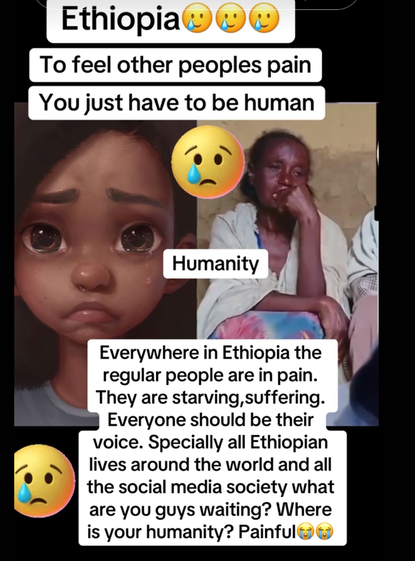1755163571119.png