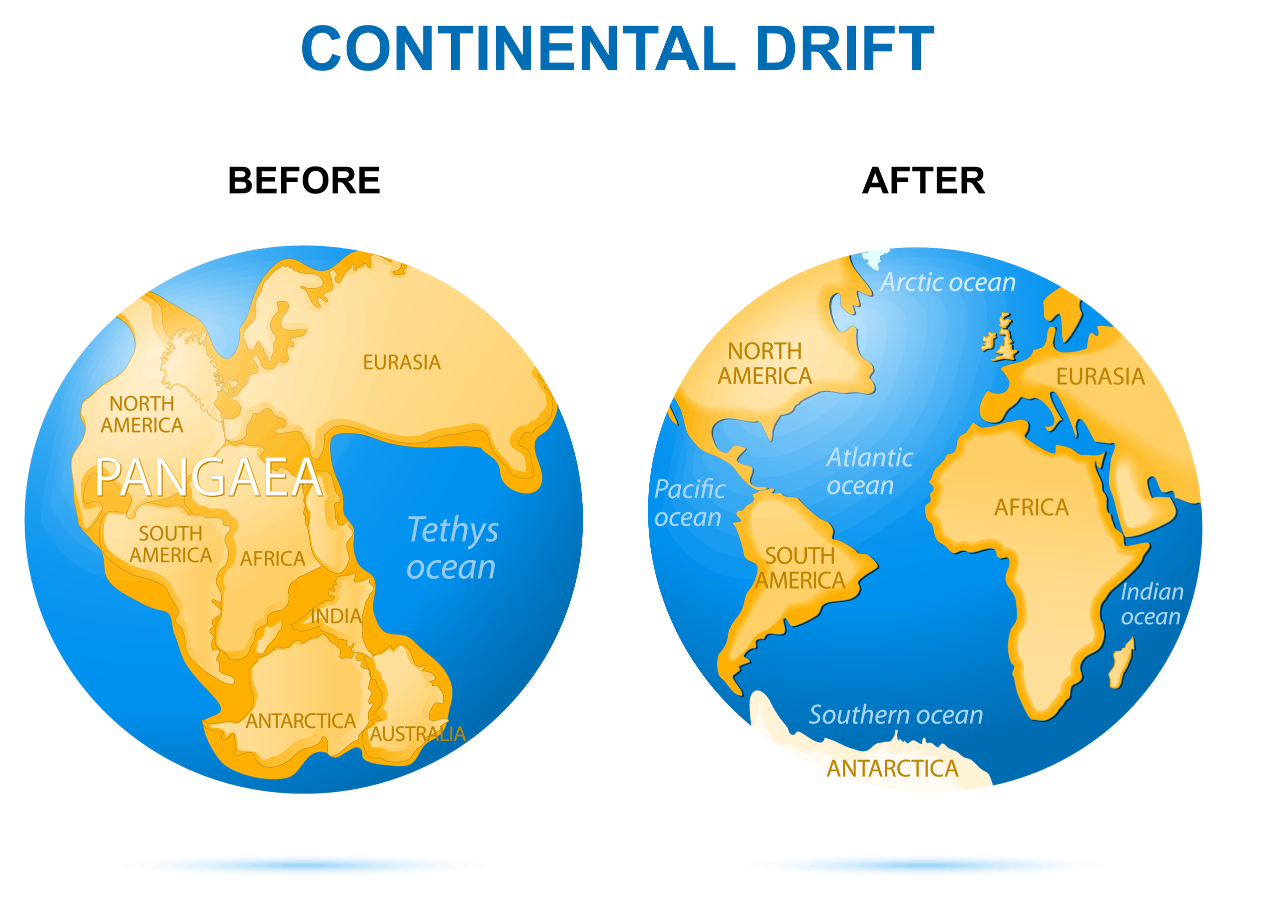 1756130221984.png
