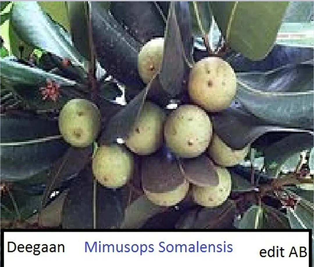 1756945375310.png