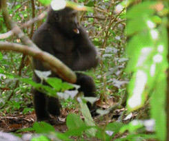 1AC79963-A59A-4D38-8106-26F209432CFE.gif