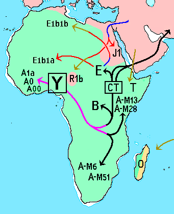 1E02D134-A107-4854-BDE9-5BCBADA9576D.png