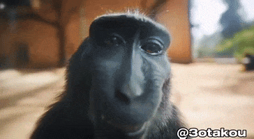 200 (1) (10).gif