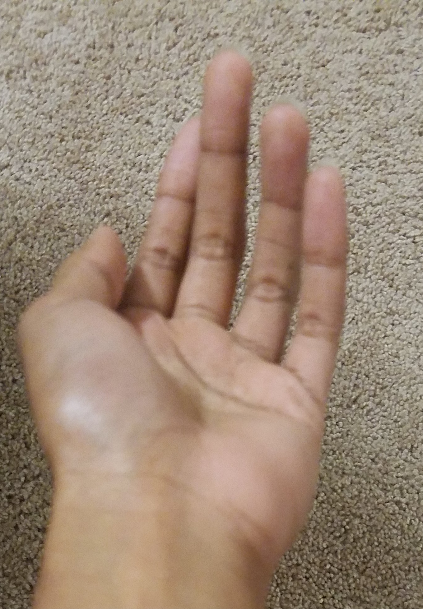 20170731_202054.jpg