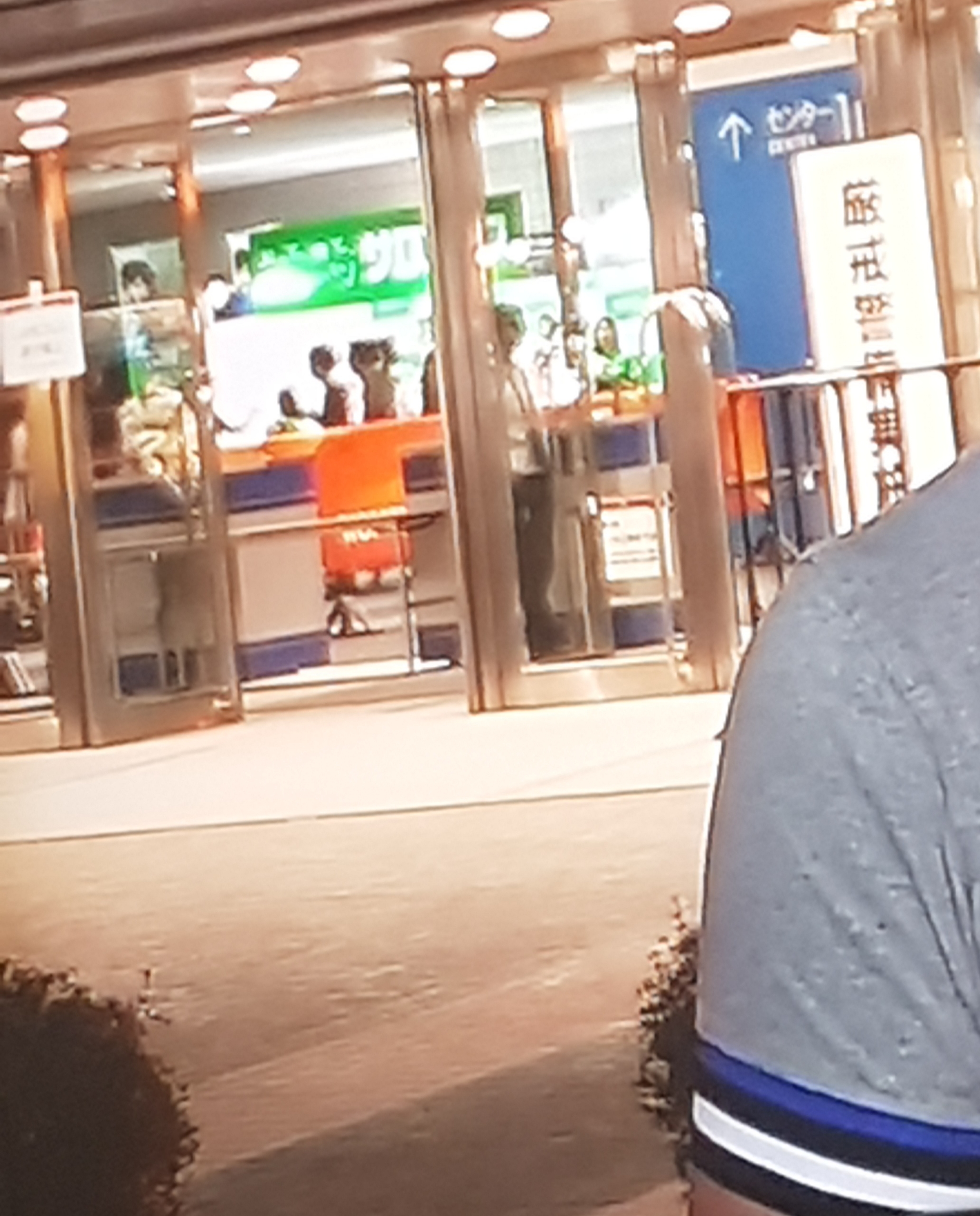 20181019_131200.jpg