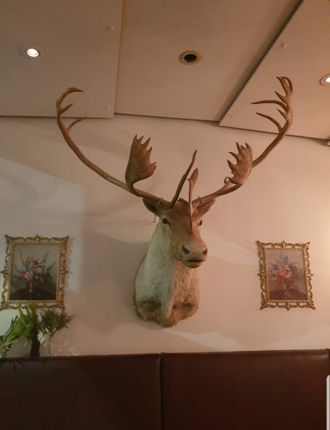 20190407_202045.jpg