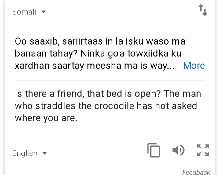 20190508_215842.jpg