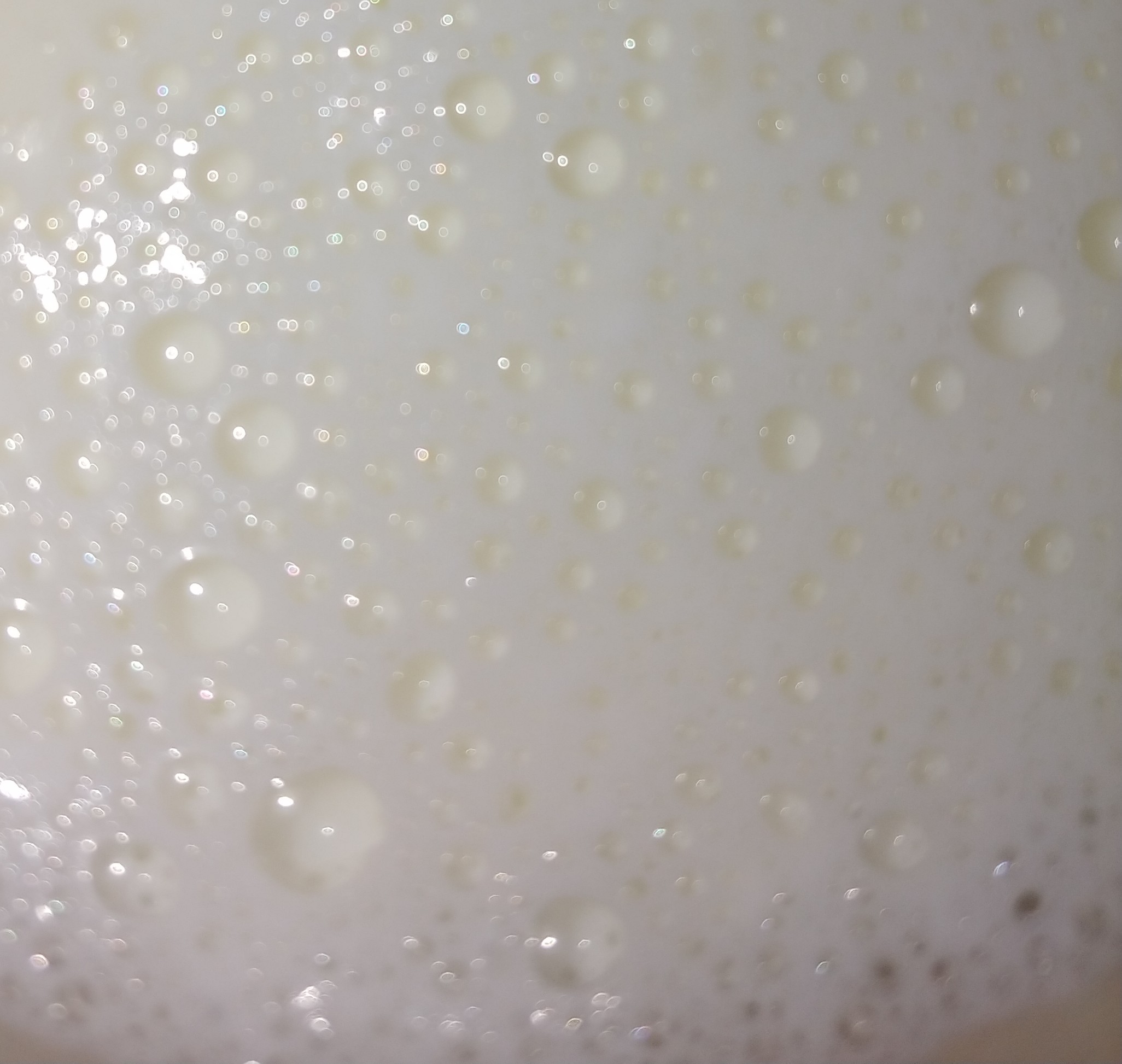 20190925_170317~2.jpg