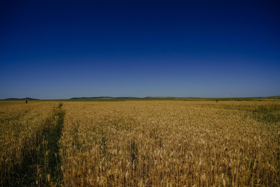 20230515_100521.jpg