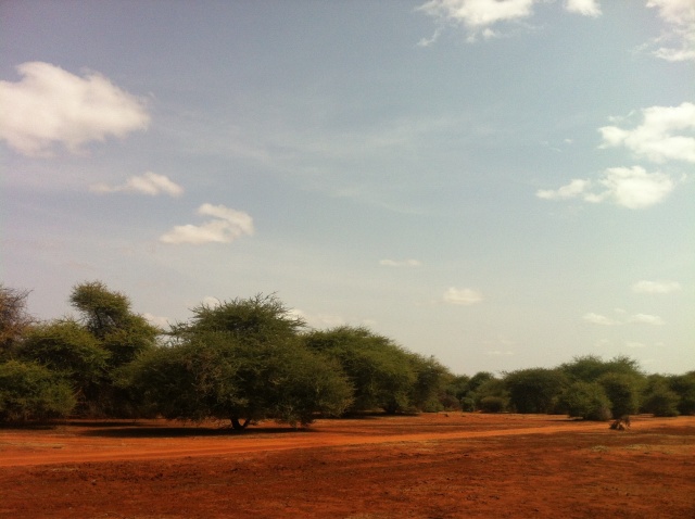 21d4vf8 (1).jpg