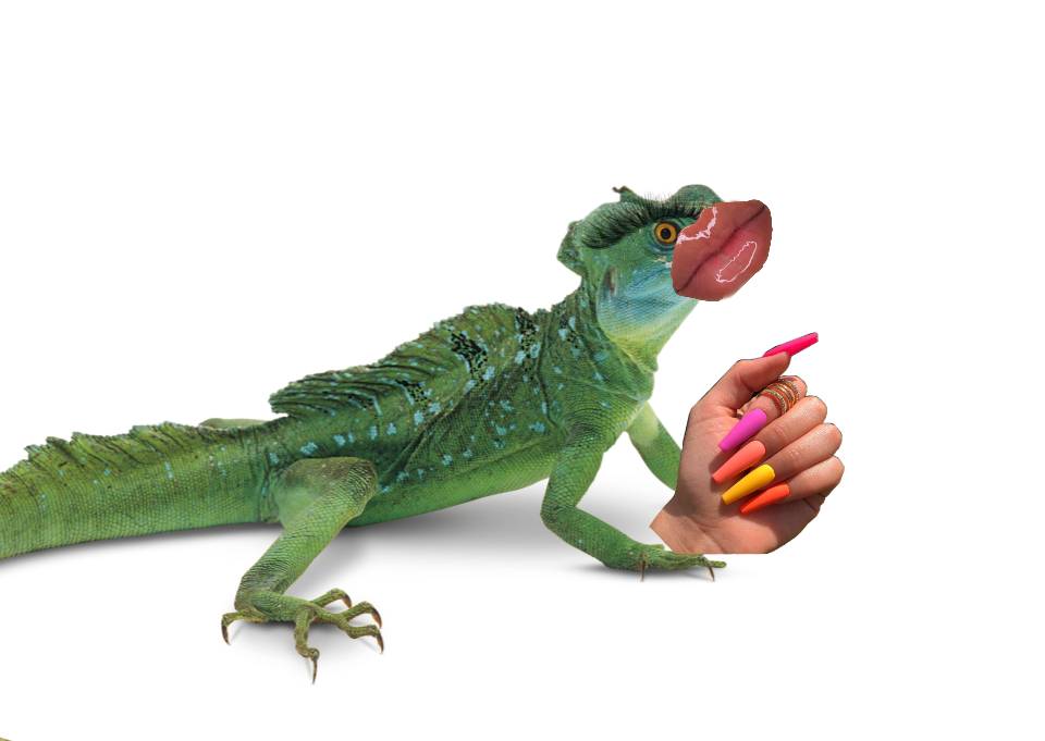 2277B252-8F4B-4531-A719-9E3CAC5C2F9D.png