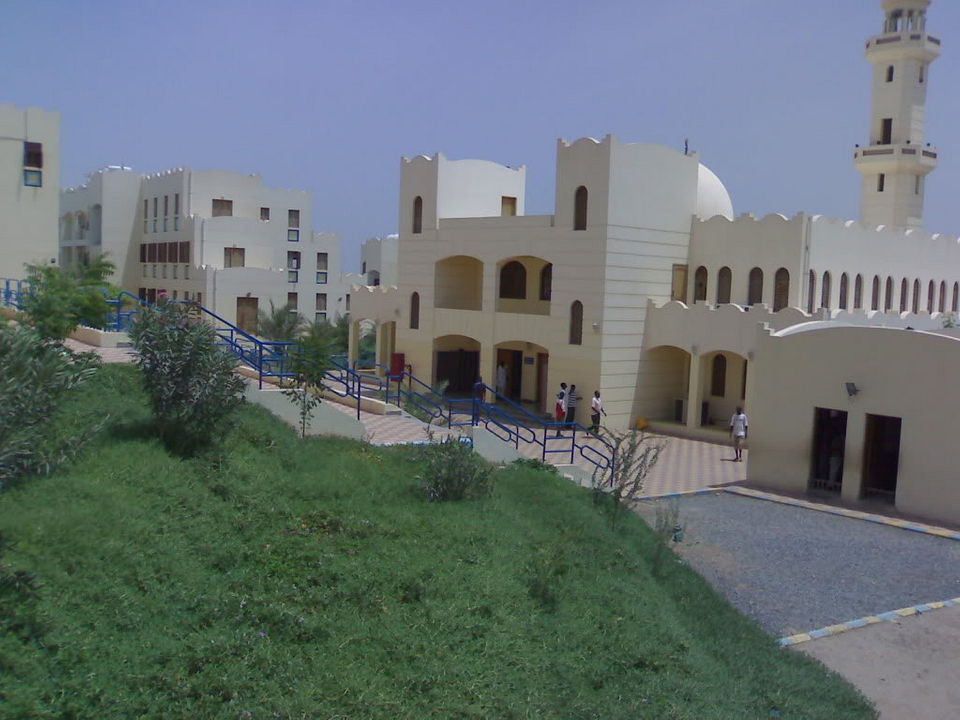 22864153.jpg