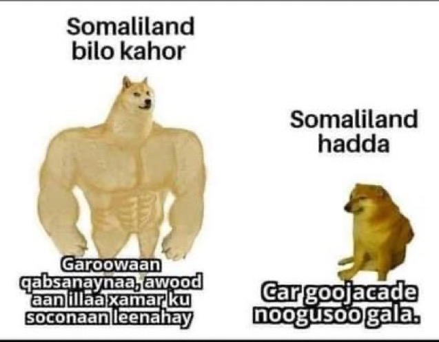 254F1190-FE61-40D0-B451-F62F7DBDAD45.jpeg