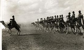 275px-Engelse_kameelruiters_-_English_camel_troopers.jpg