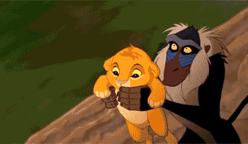 2AAB547E-4E27-43F5-9849-D858795FED62.gif