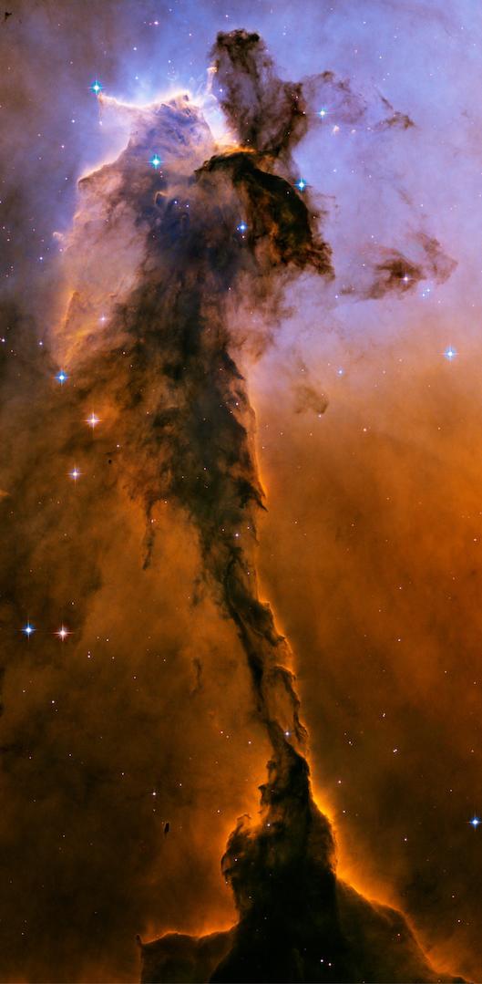 2ca838.jpg