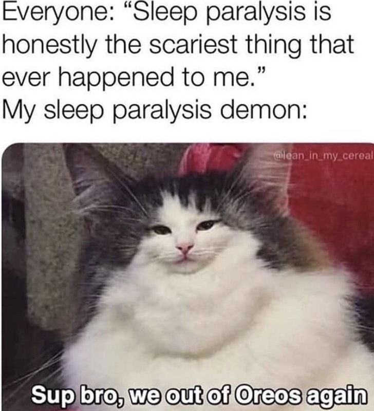 2E9F378C-C89F-4CC2-82ED-F364B467E322.jpeg