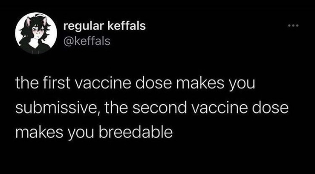 2EFA5A61-56D3-46FF-B21B-FB5C21593F26.jpeg