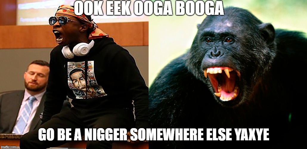 2ej1g2.jpg