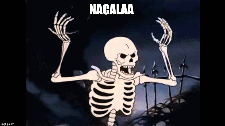 2zo1ml.jpg