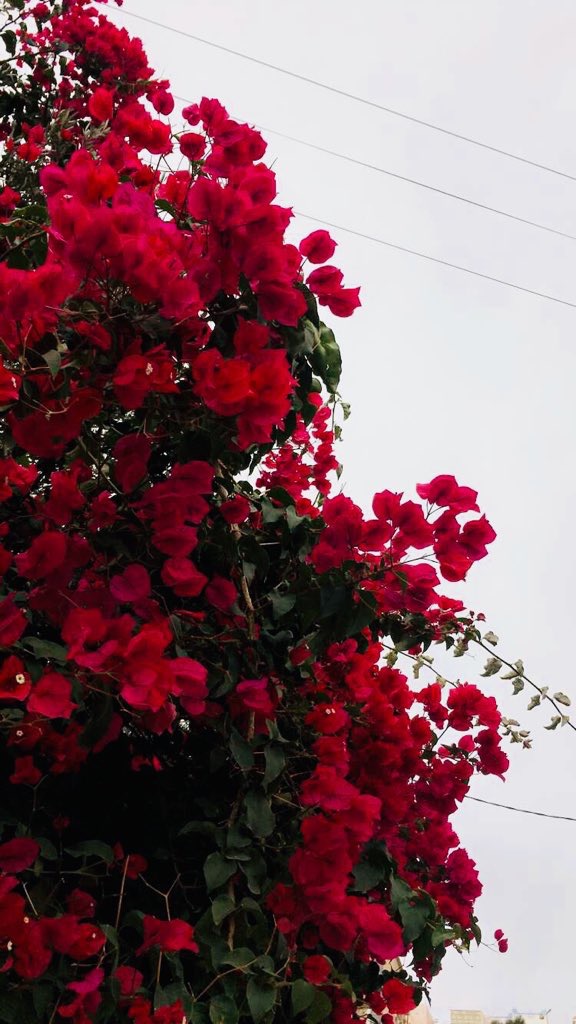 30F90D9F-085F-4932-89B3-9916C10DFE52.jpeg