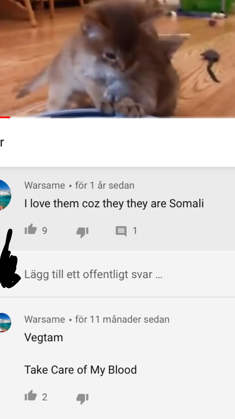3163C071-E9EE-46EB-AFAB-439699B0C76D.jpeg