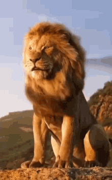 31641F04-E97E-49E0-8BCE-7524AEC5EE54.gif