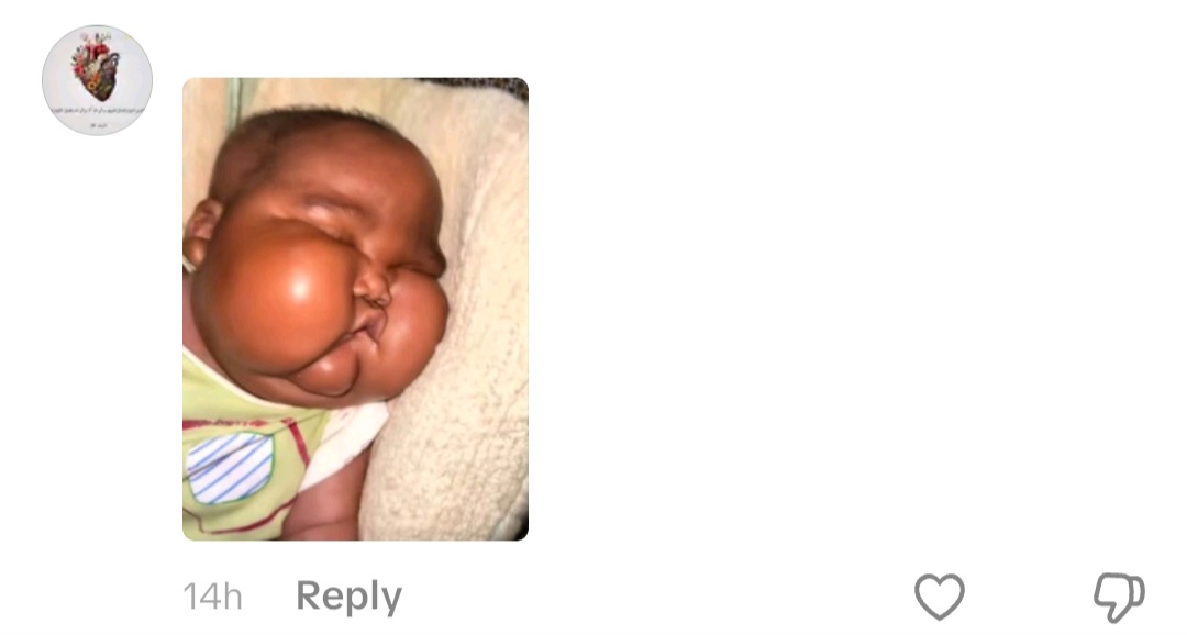 335.jpg