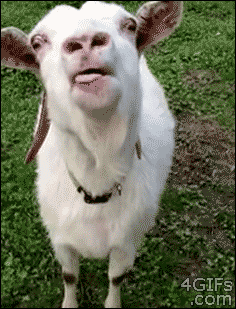 354EF465-DBE2-4184-BB3C-80AF9B1DF92B.gif