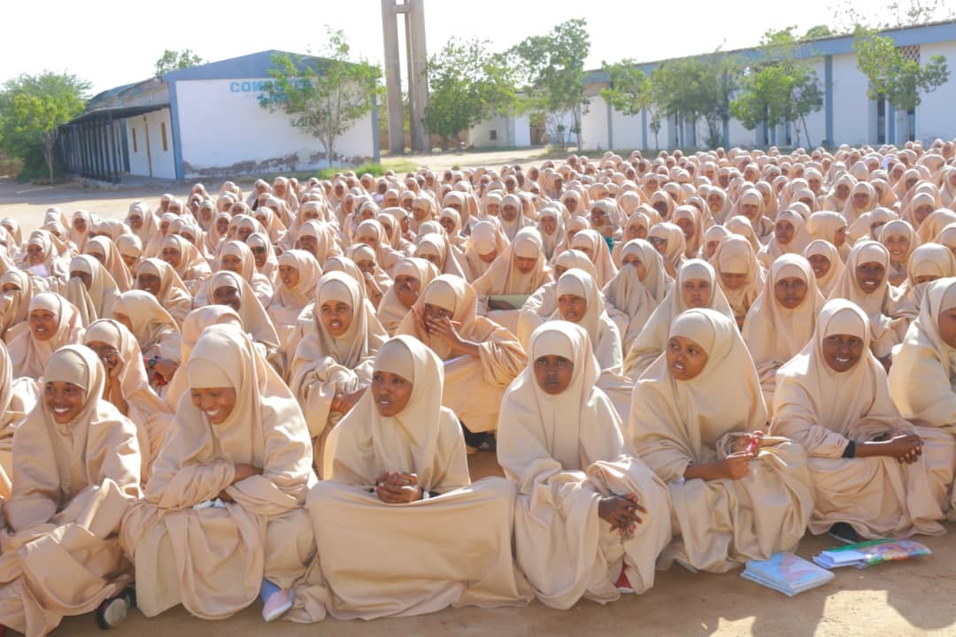35bba4a2.jpg