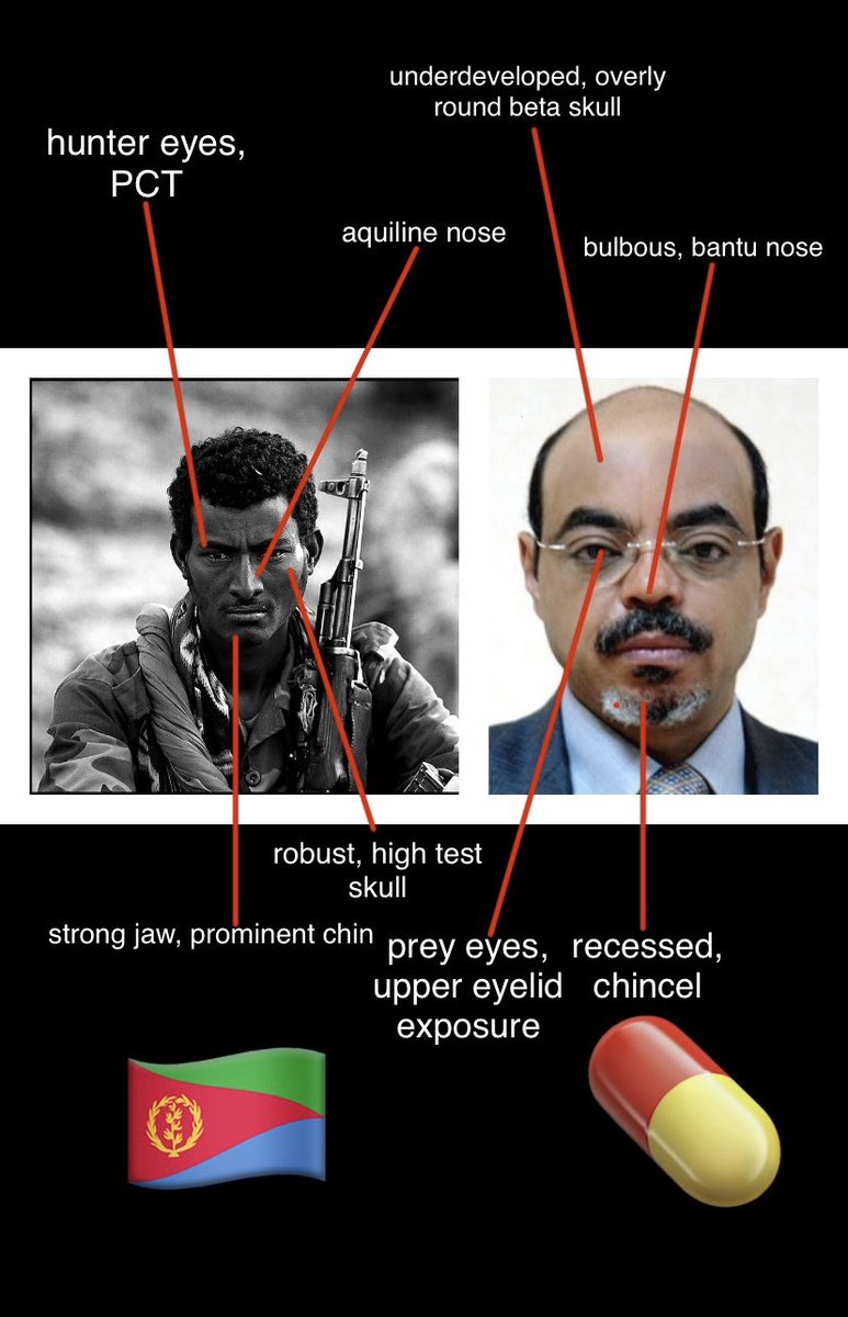 361BB48F-08B5-4CEB-A768-5E4F53F73E34.jpeg