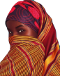 37610CC1-E4F6-4047-942F-FCBB66C8F00C.png