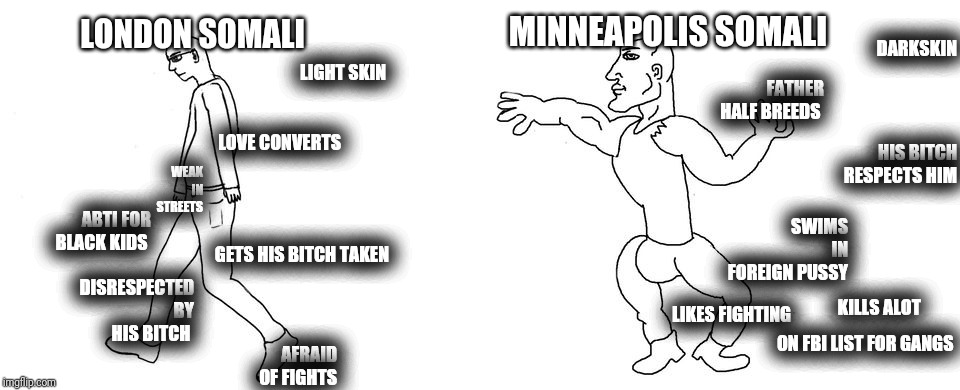 3m2t9m.jpg