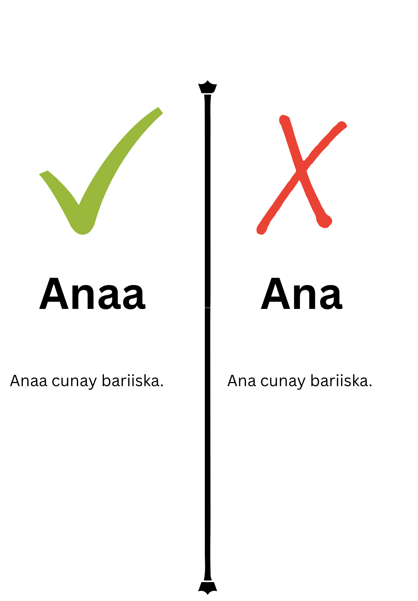 40C44B6A-C4FA-4E03-AFF9-12B7F5D2E0A6.png