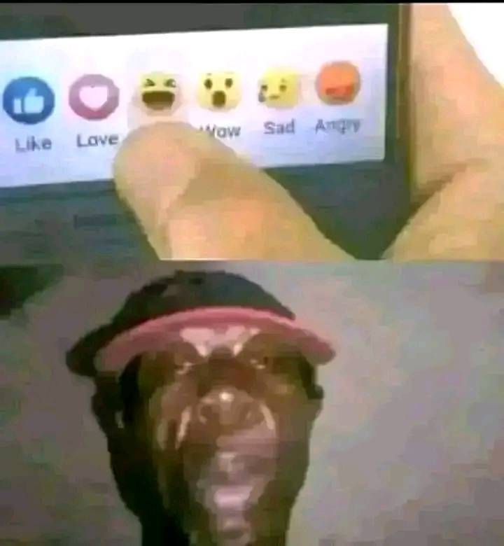 432945567_122135097086187756_9112132942534573435_n.jpg